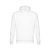Hoodie Phoenix
