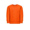 Sweatshirt Delta Kids