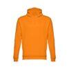 Hoodie Phoenix