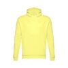 Hoodie Phoenix