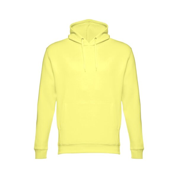 Hoodie Phoenix
