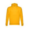 Hoodie Phoenix