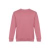 Sweatshirt Delta