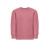 Sweatshirt Delta Kids