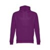 Hoodie Phoenix